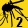 Gold Level Badge (90 days) for Discovering Dengue Drugs - Together - Phase 2