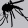 Silver Level Badge (45 days) for Discovering Dengue Drugs - Together